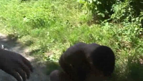 Fun In The Forest 06