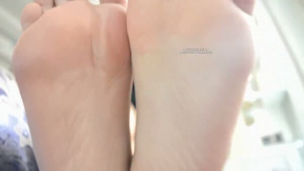 Trample-Aicai – 377